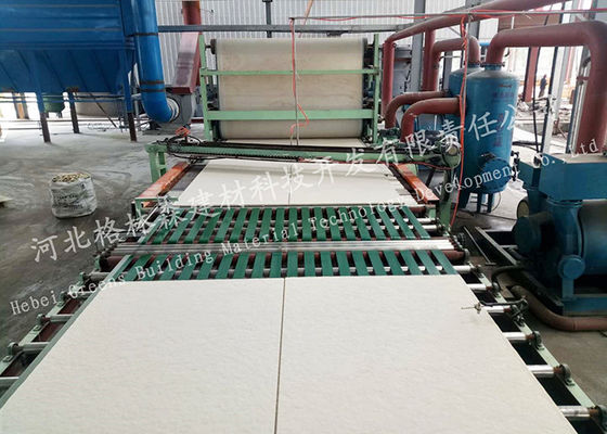 Akoestische Minerale het Comité van het Vezelplafond Productiemachine met Draai Zeer belangrijk Project