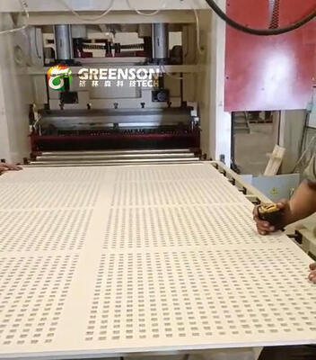 18 kW Host Power Plaat Perforatie Machine met aanpasbare gatvormen en 1 jaar garantie